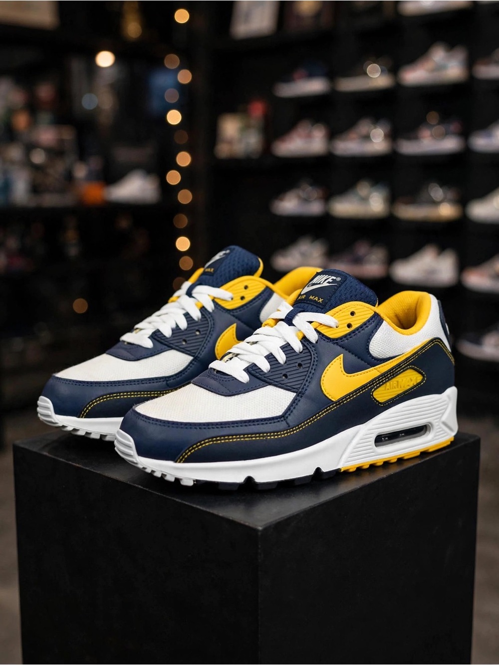 Nike Air Max 90 'Dunk From Above' (2021)